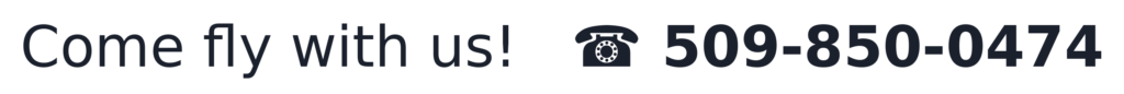 SSS Phone